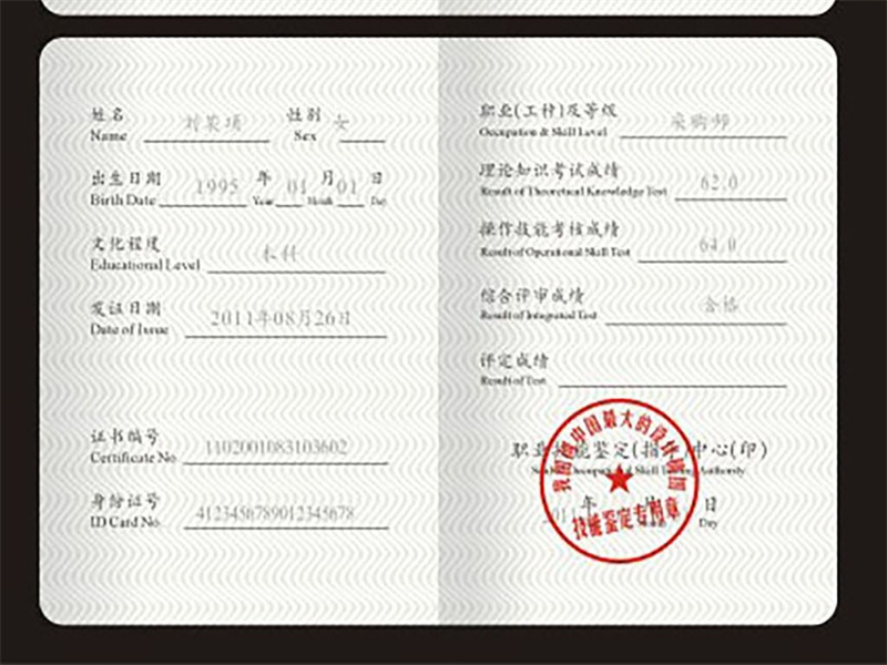 定制证书定制-蓝白极简政务风