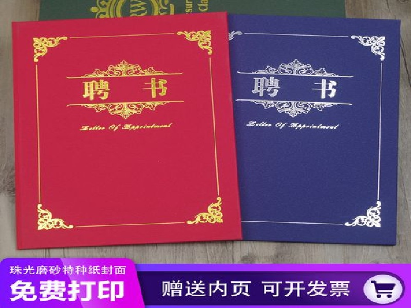 关于我们-蓝白极简政务风